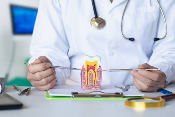 Best Emergency Tooth Extraction in Bronson, FL